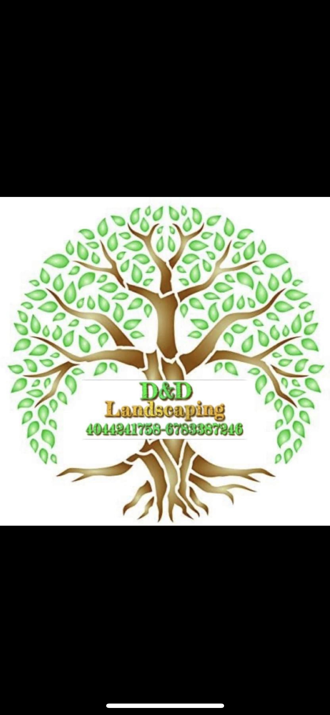 Avatar for D&D LANDSCAPING 