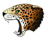 Network Guard logo