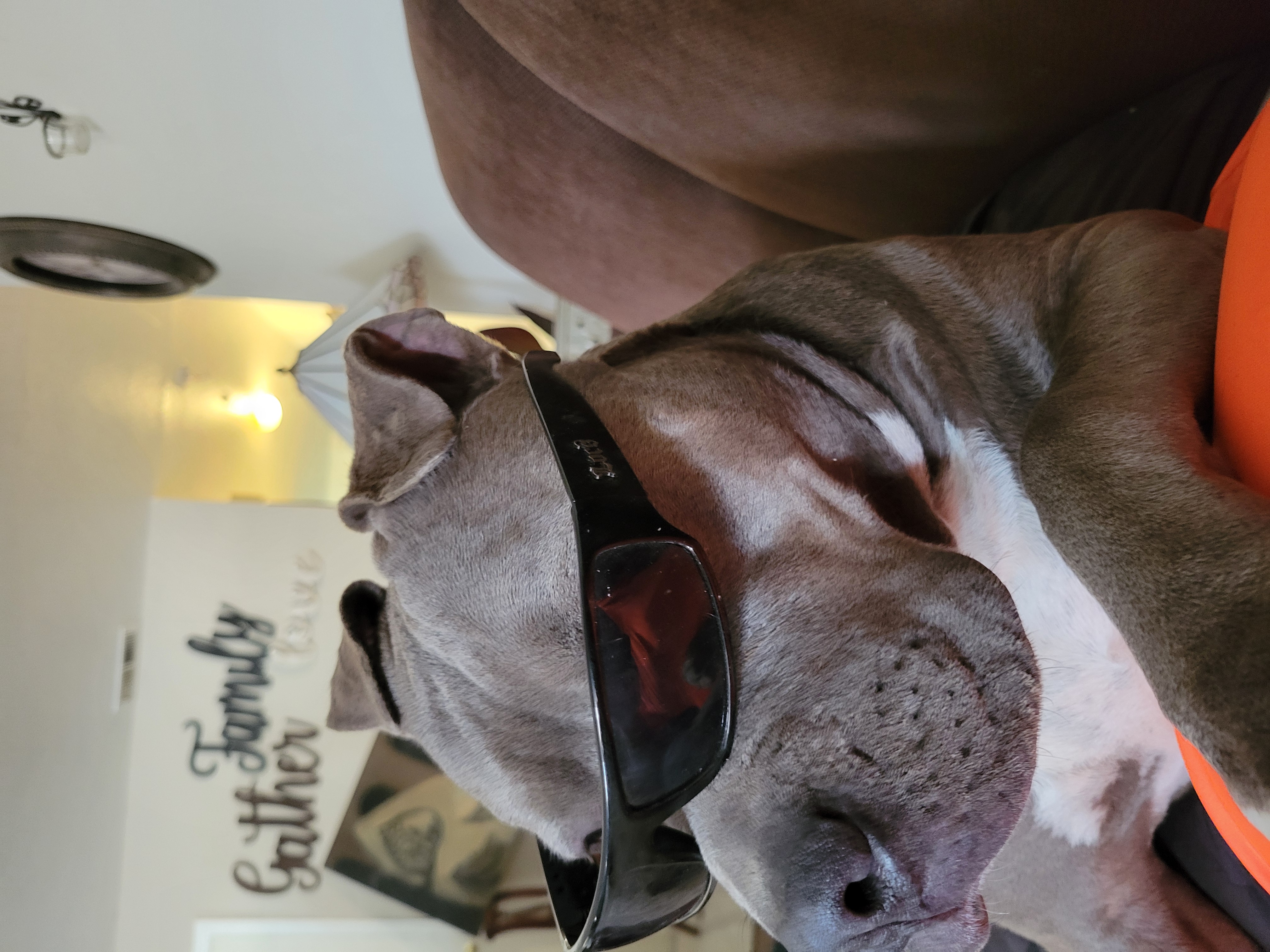 Avatar for Steve's painting