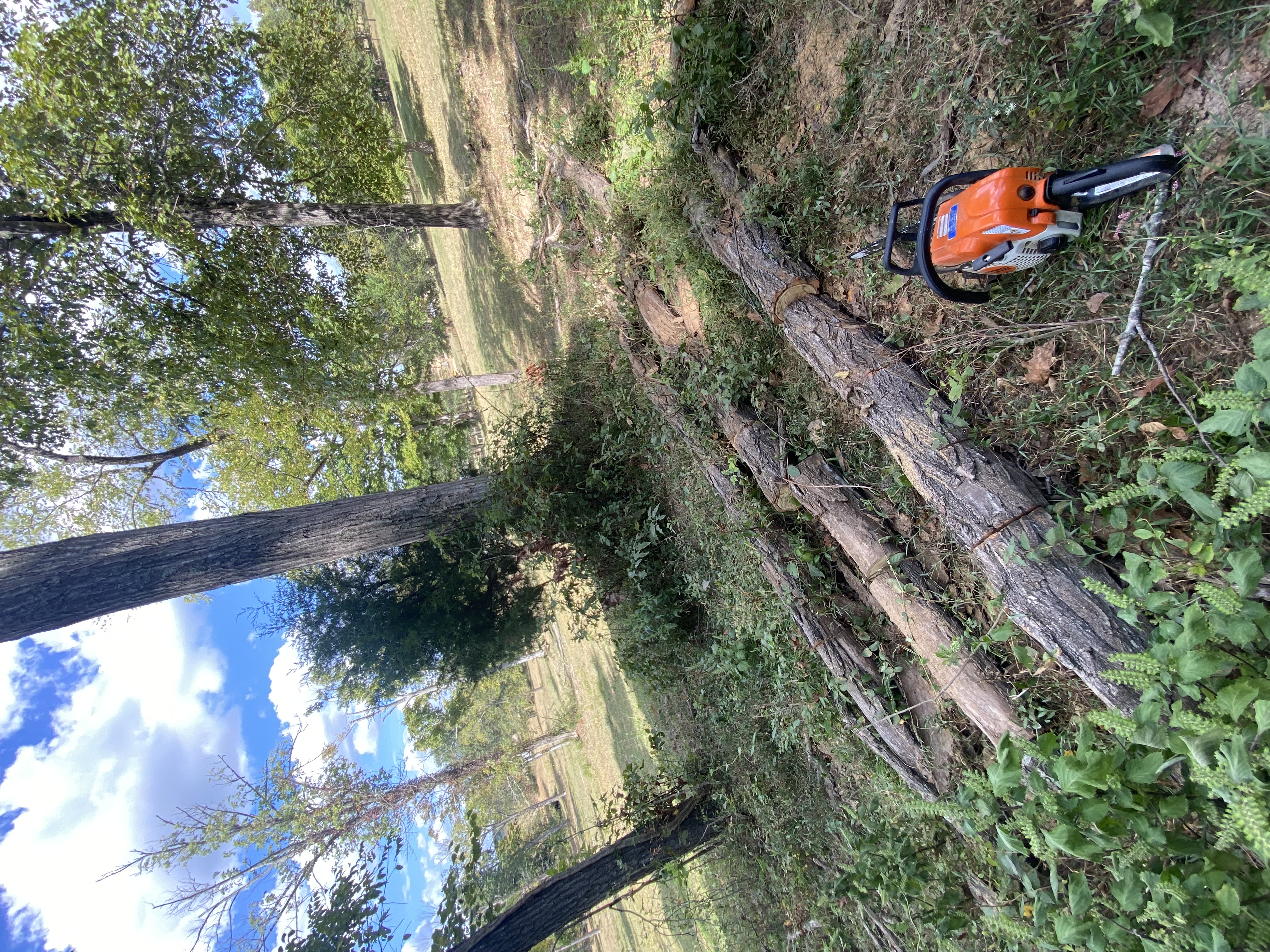 Avatar for Caudill mowing 