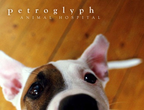 Logo for PETROGLYPH ANIMAL HOSPITAL