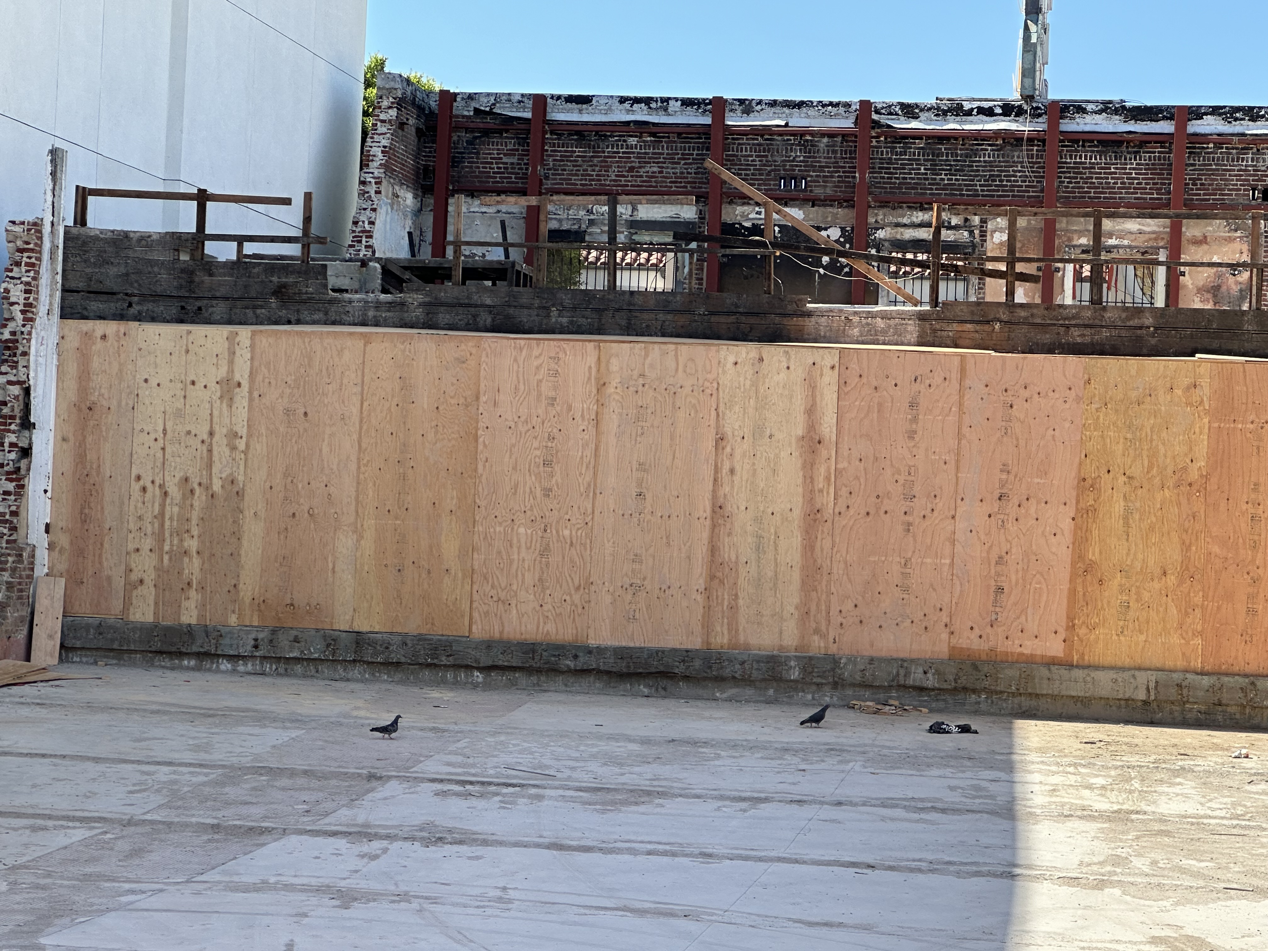 Avatar for FF Almighty construction