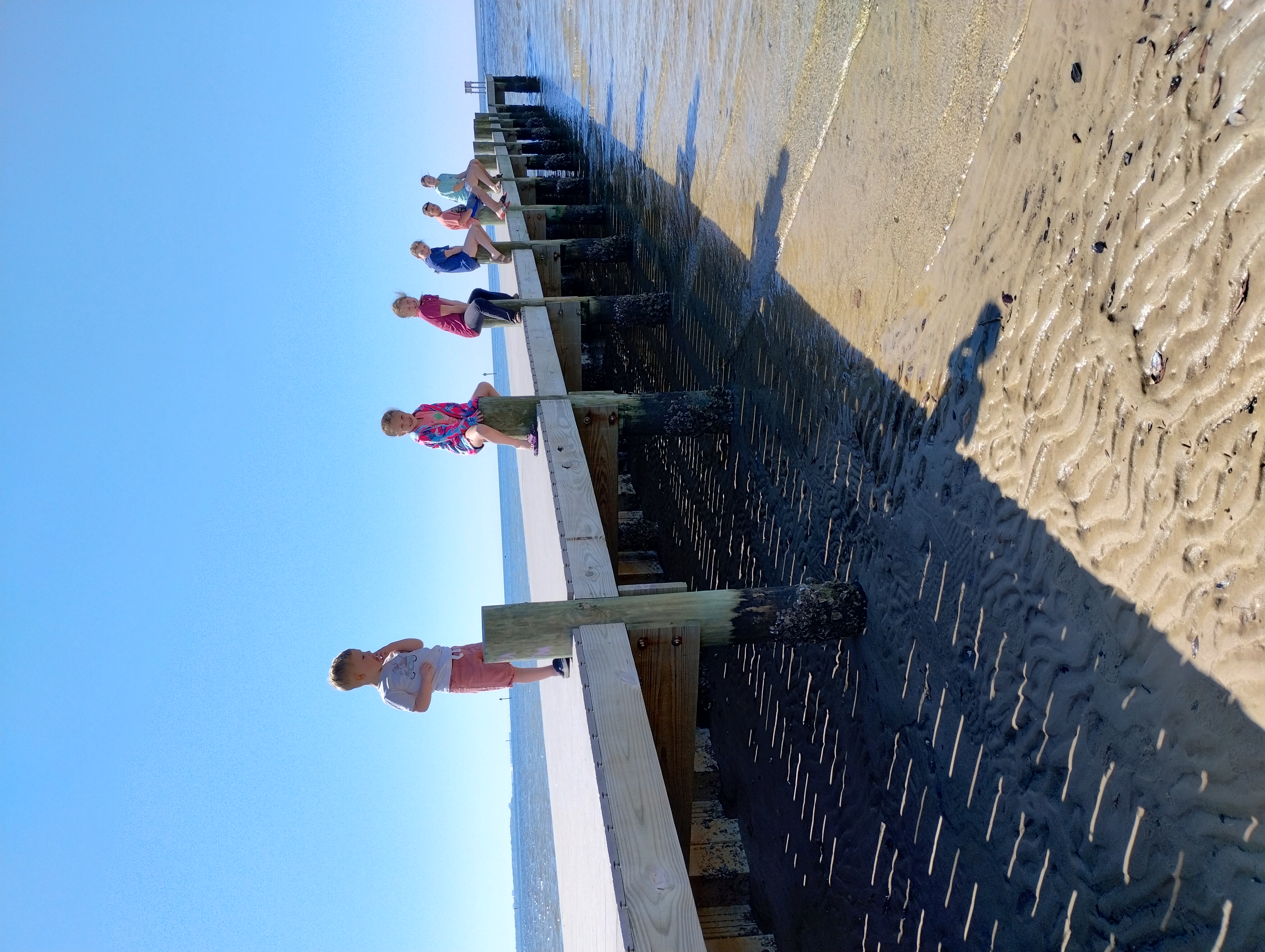 Avatar for Courtney construction 