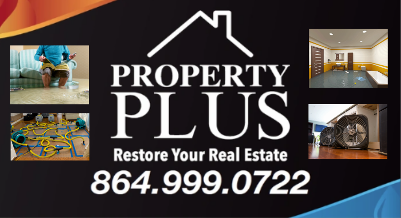 Avatar for PROPERTY PLUS