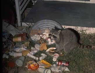 Avatar for Brown Nuisance Control