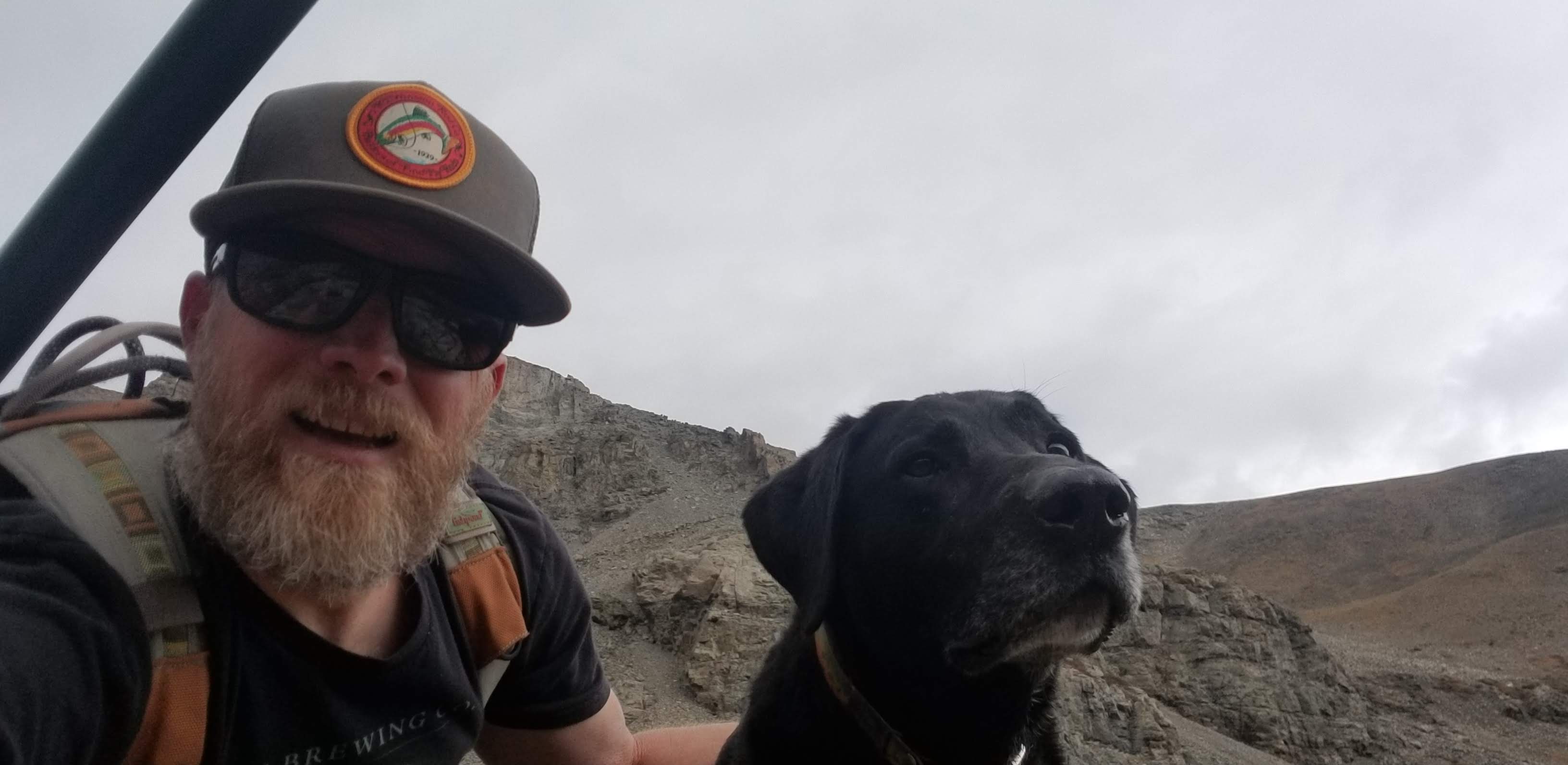 Avatar for Old Dog Studio