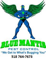 Avatar for Blue Mantis Pest Control, LLC