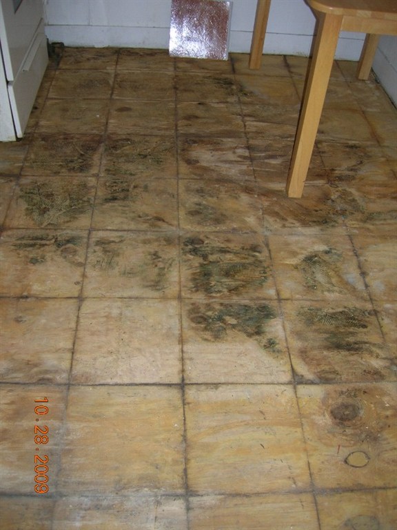 Mold Damage