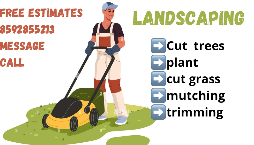 Avatar for Beast Landscaping