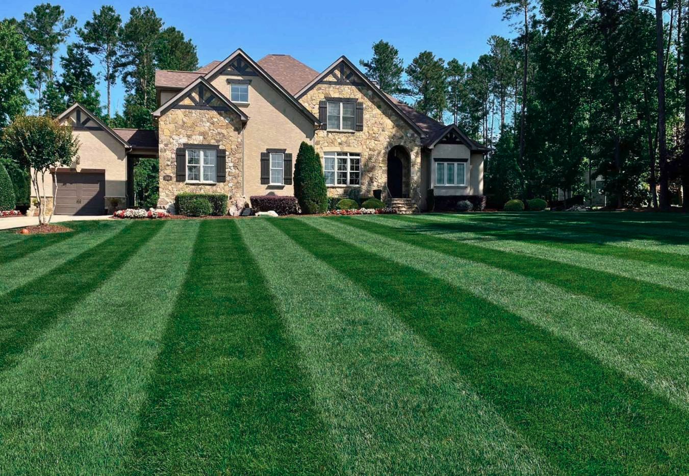 Avatar for Jeremy Pellicano