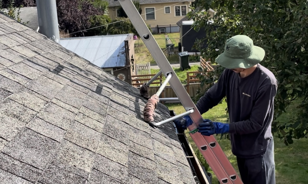 Avatar for Bonsairoofcleaningllc