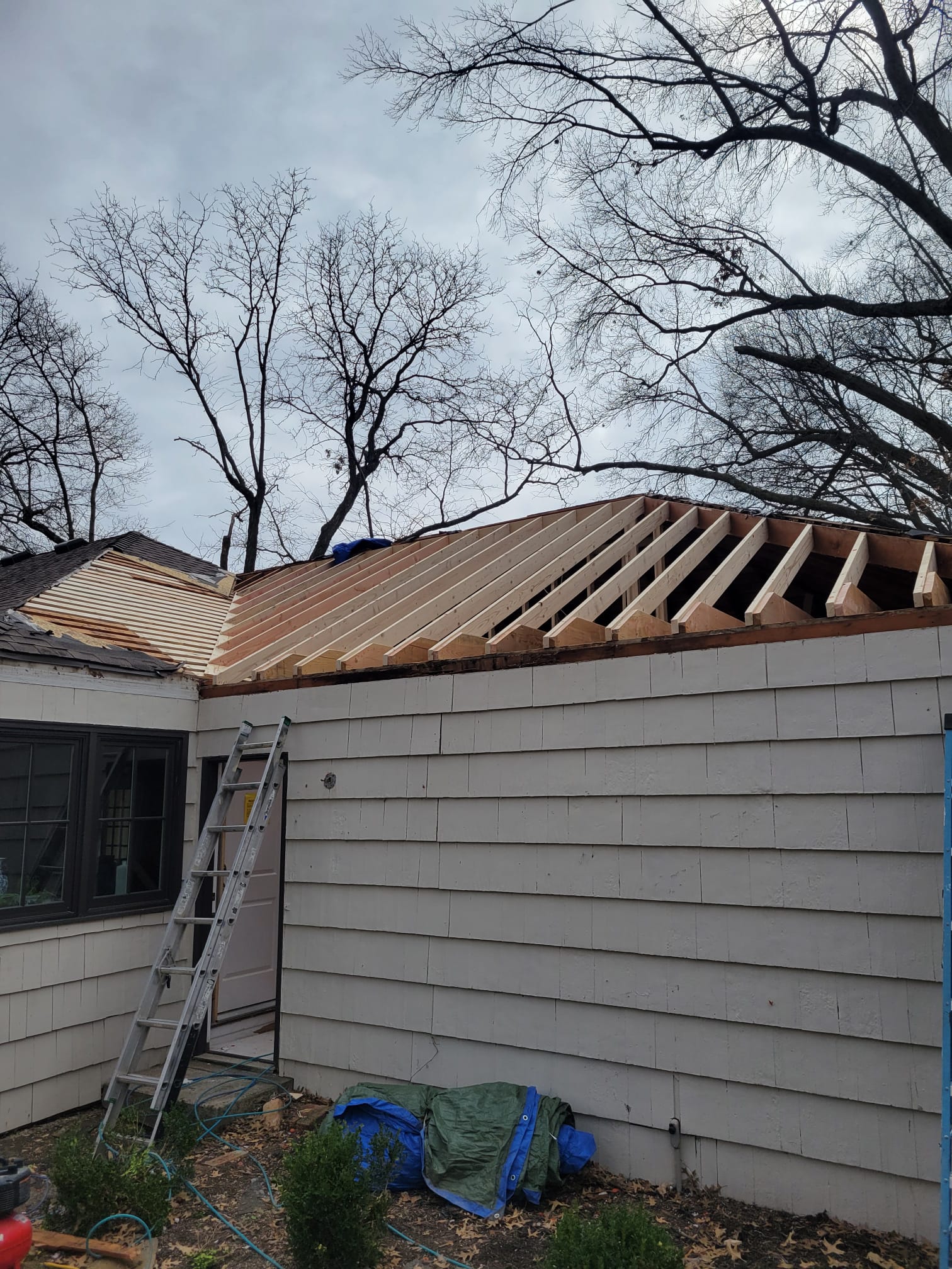 Avatar for Rodriguez remodeling 