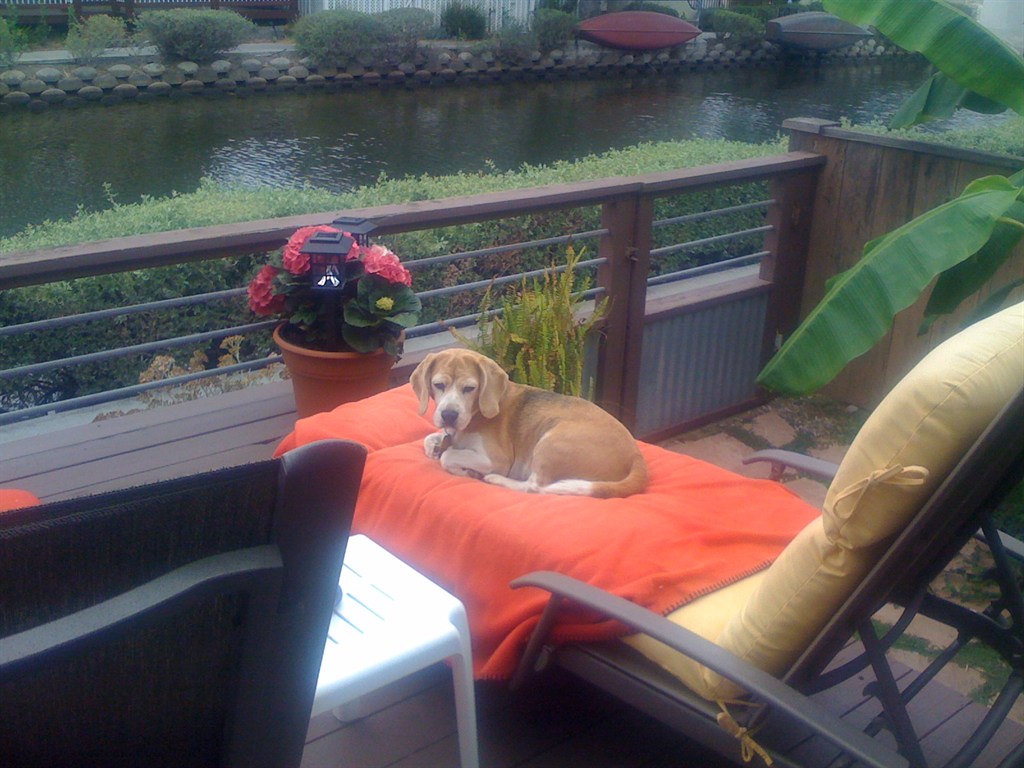 Katie relaxing in the Venice Canals