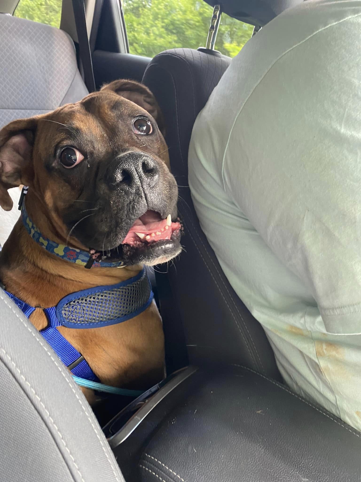 Avatar for All God's Creaturez LLC