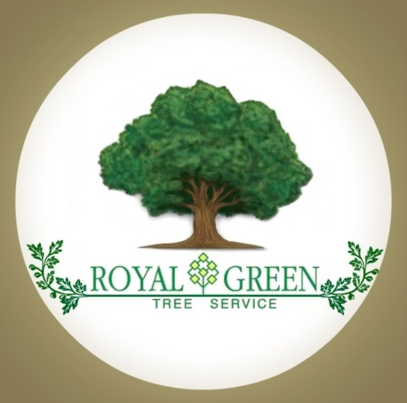 Royal Green Tree Service Reviews Kensington, NH Angi