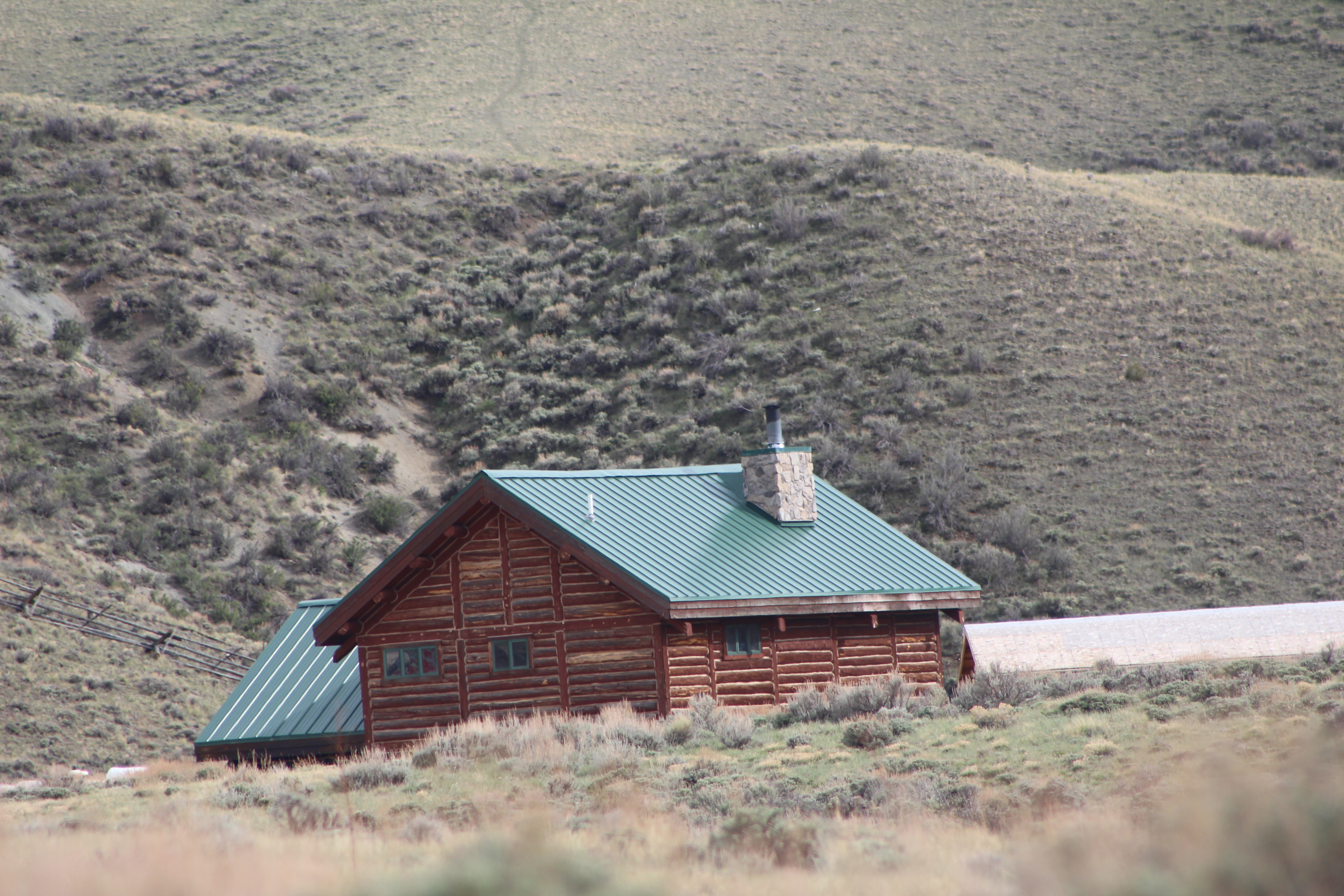 Avatar for Ian Milligan