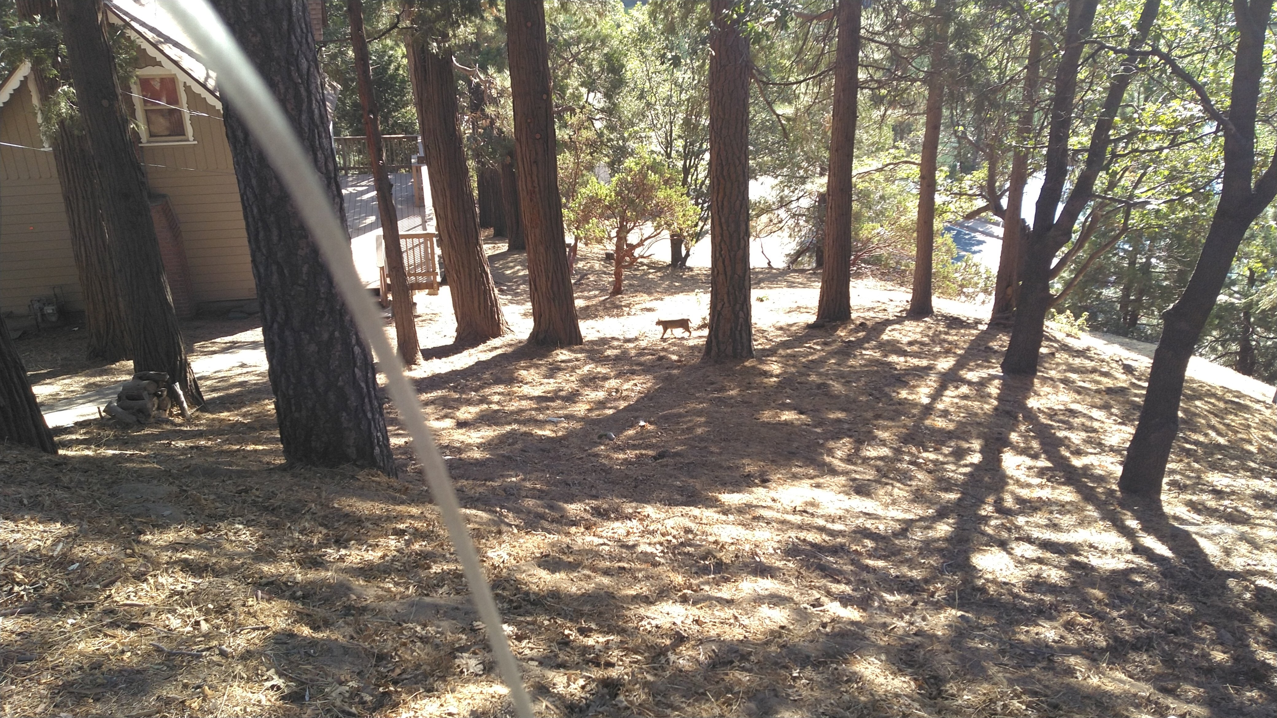 Avatar for RH Design