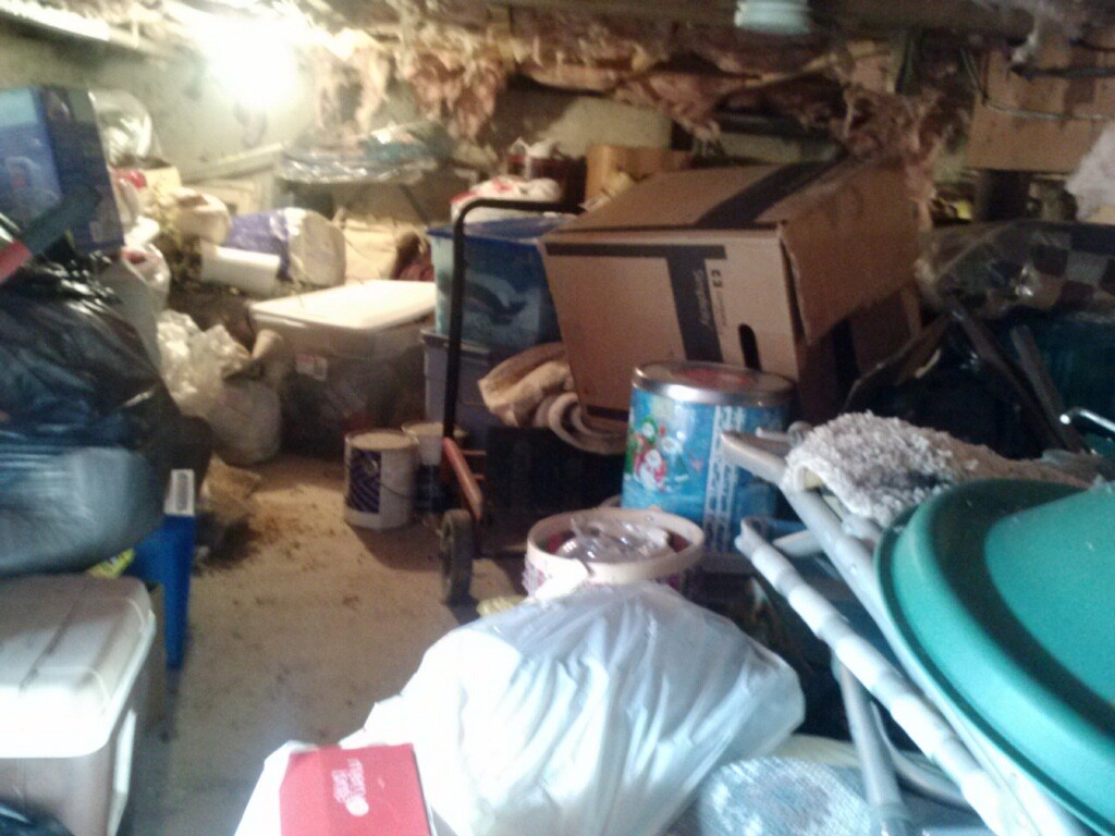 Before
