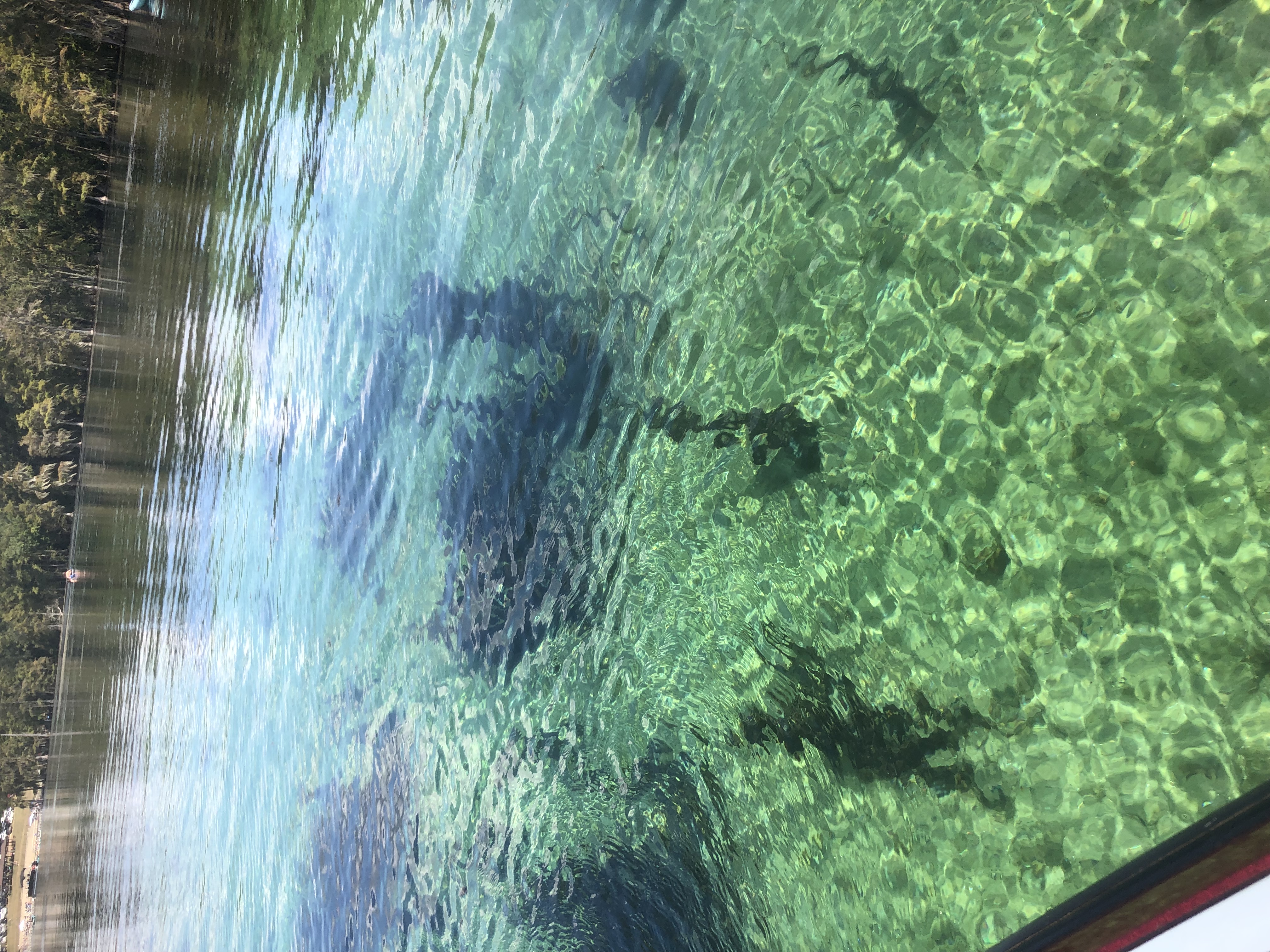 Avatar for Francisco’s concrete and construction