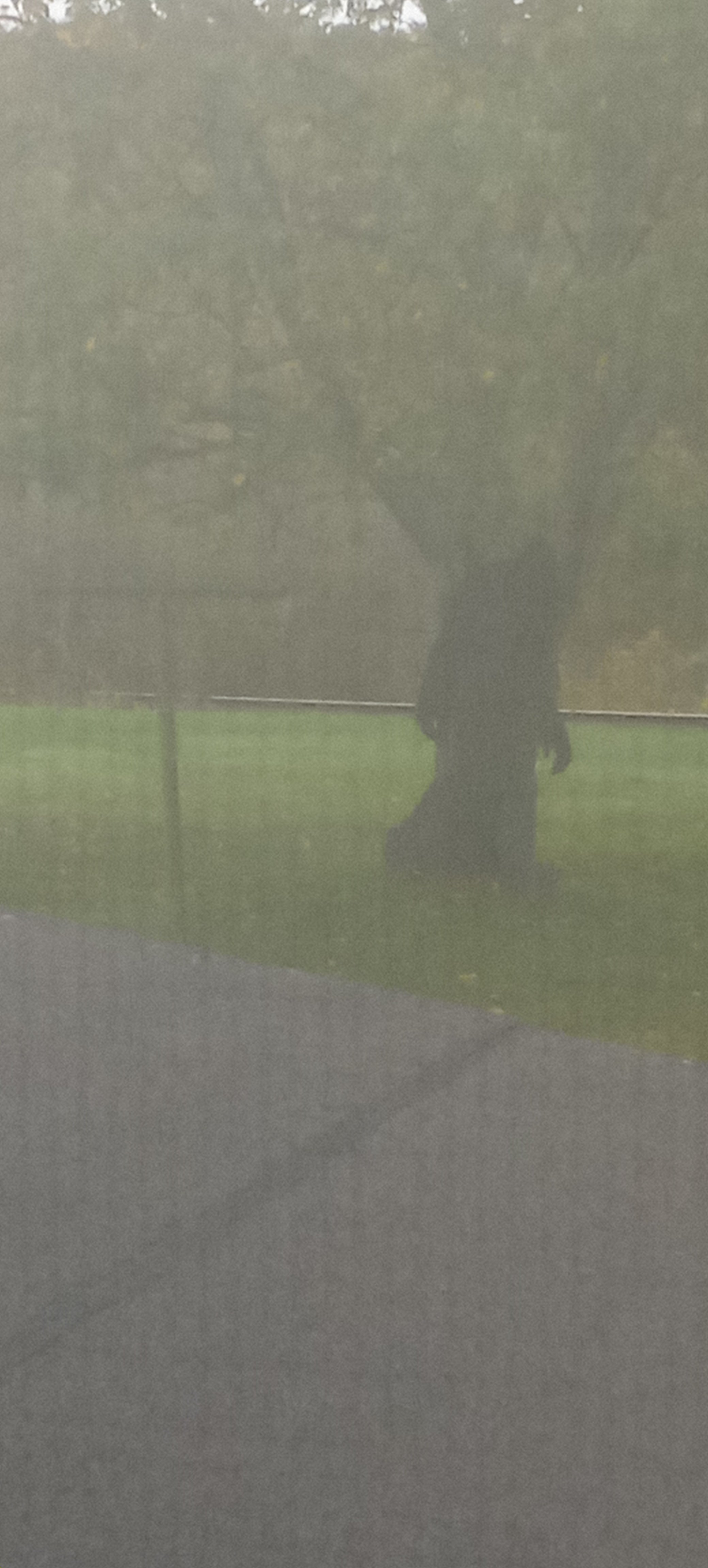 Avatar for Brenda cleaning