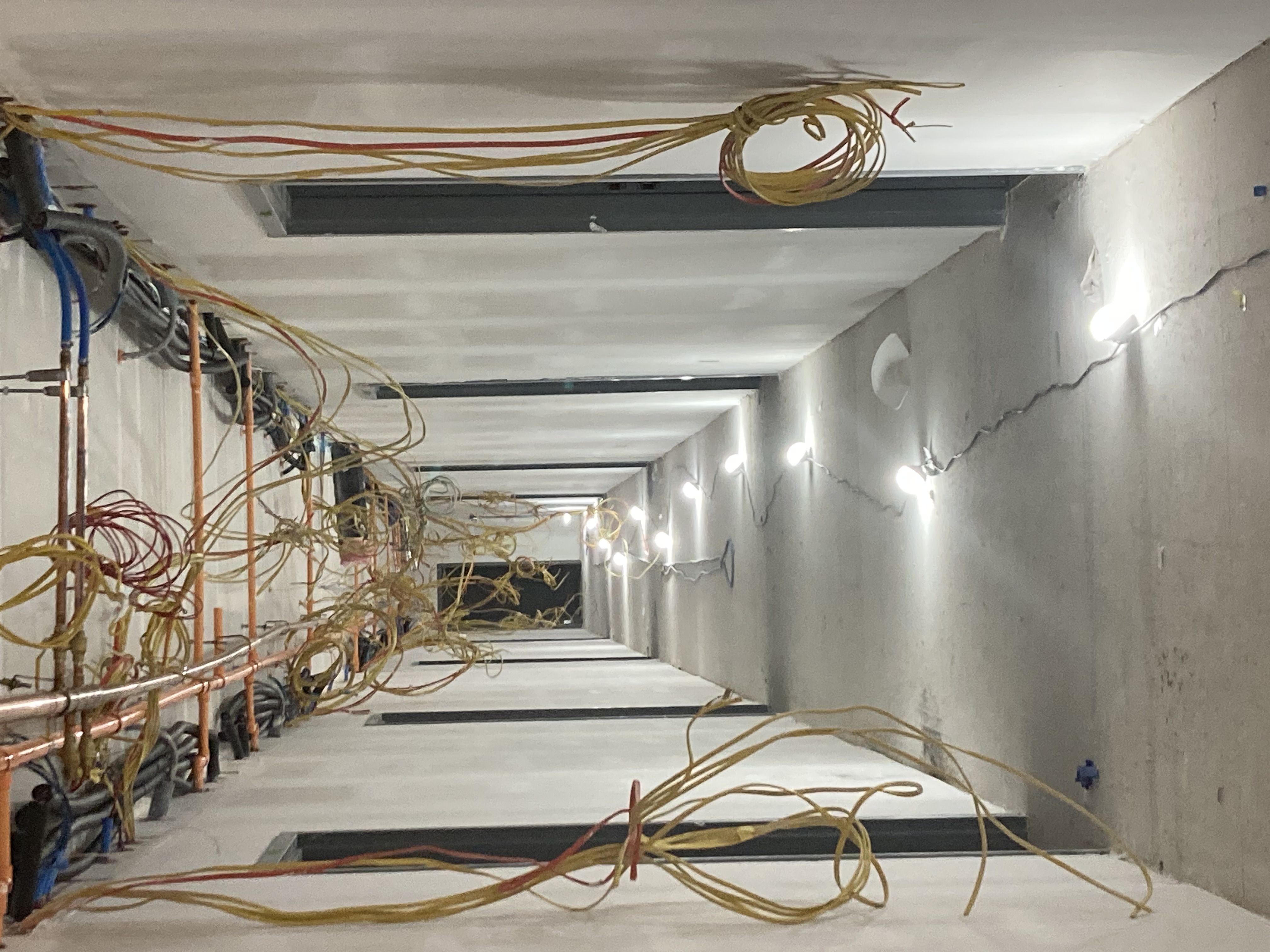 Avatar for A1 quality painting 