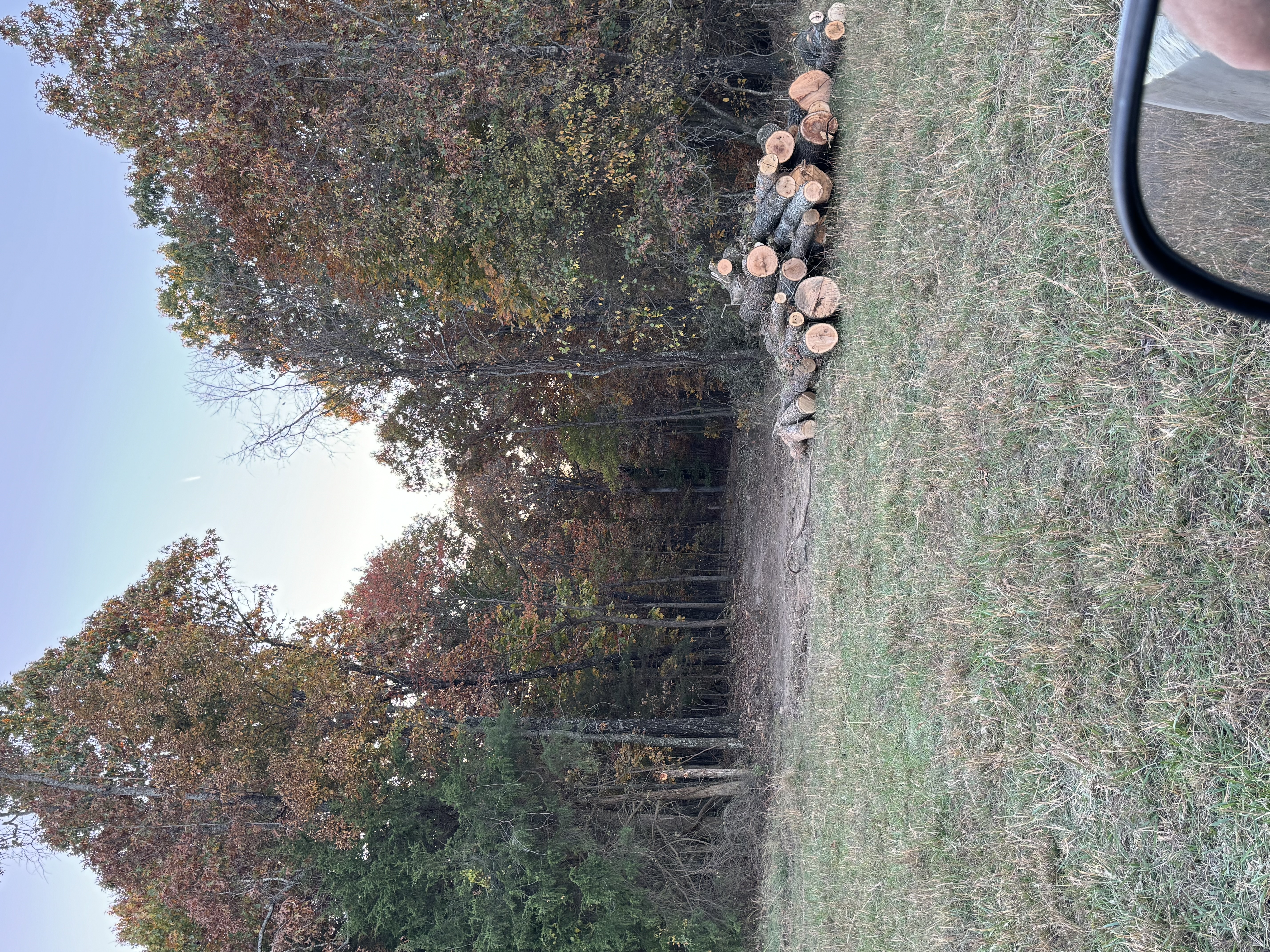 Avatar for Johnson’s mini excavating