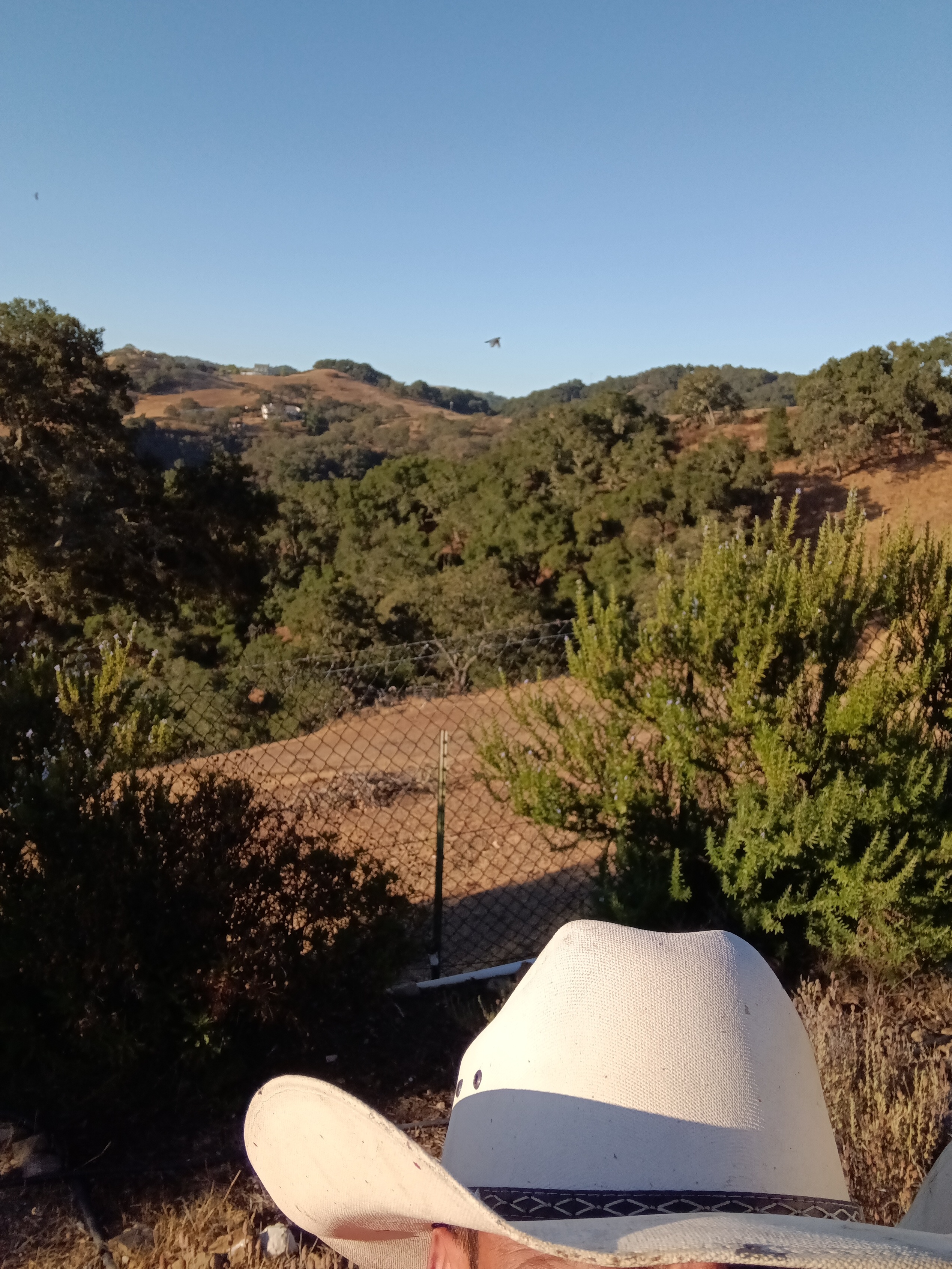 Avatar for Flawless helpers