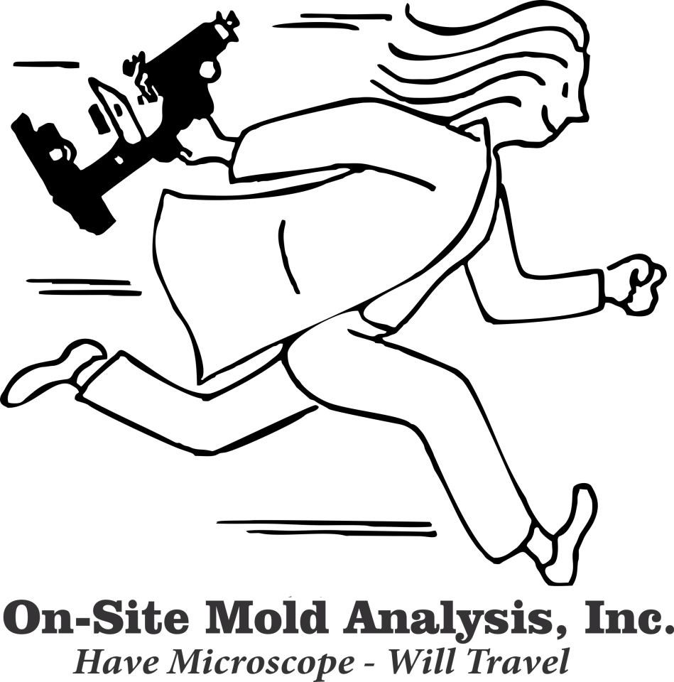 Avatar for On-Site Mold Analysis Inc