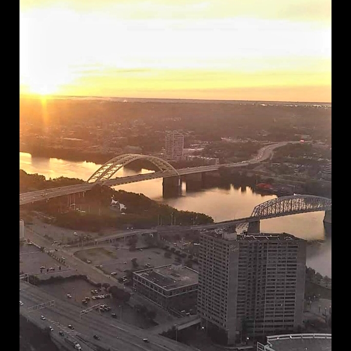 Avatar for Nick's Painting