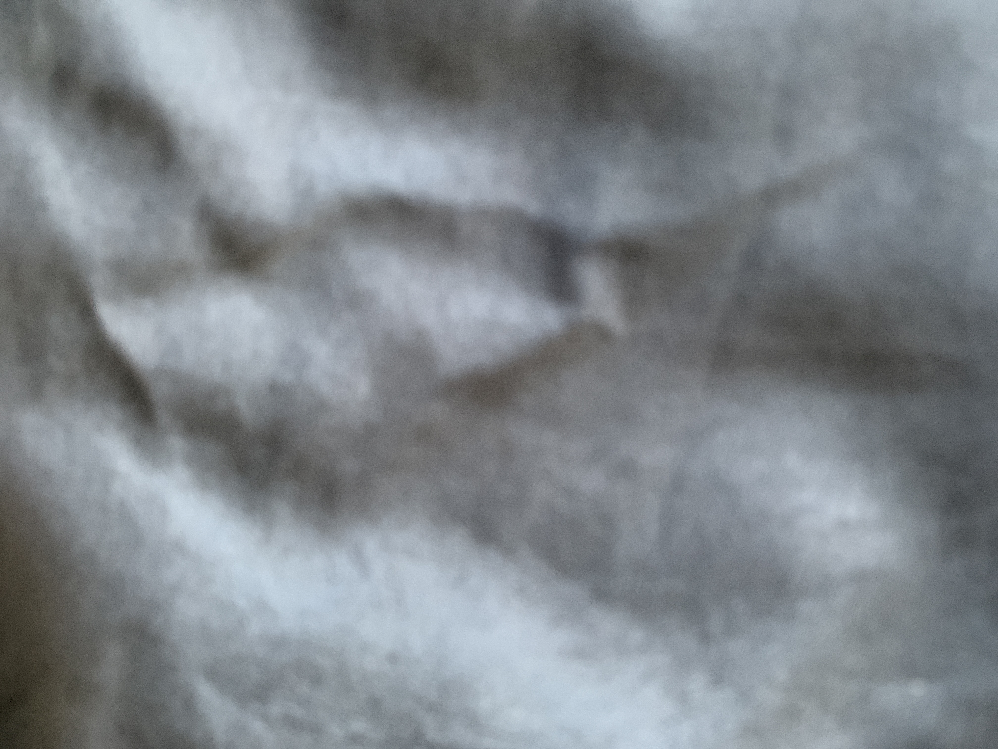 Avatar for Cody cleaning services