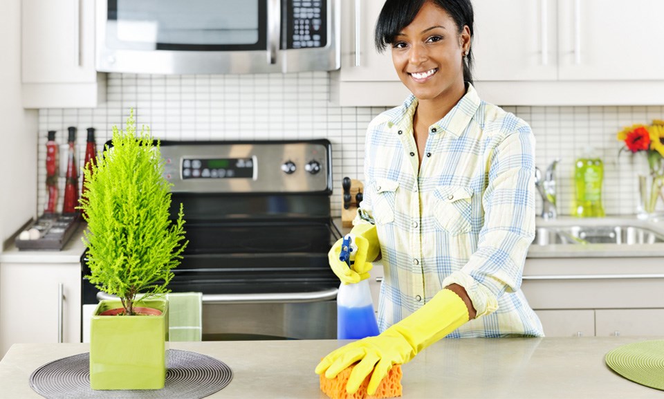 Elsa Cleaning logo