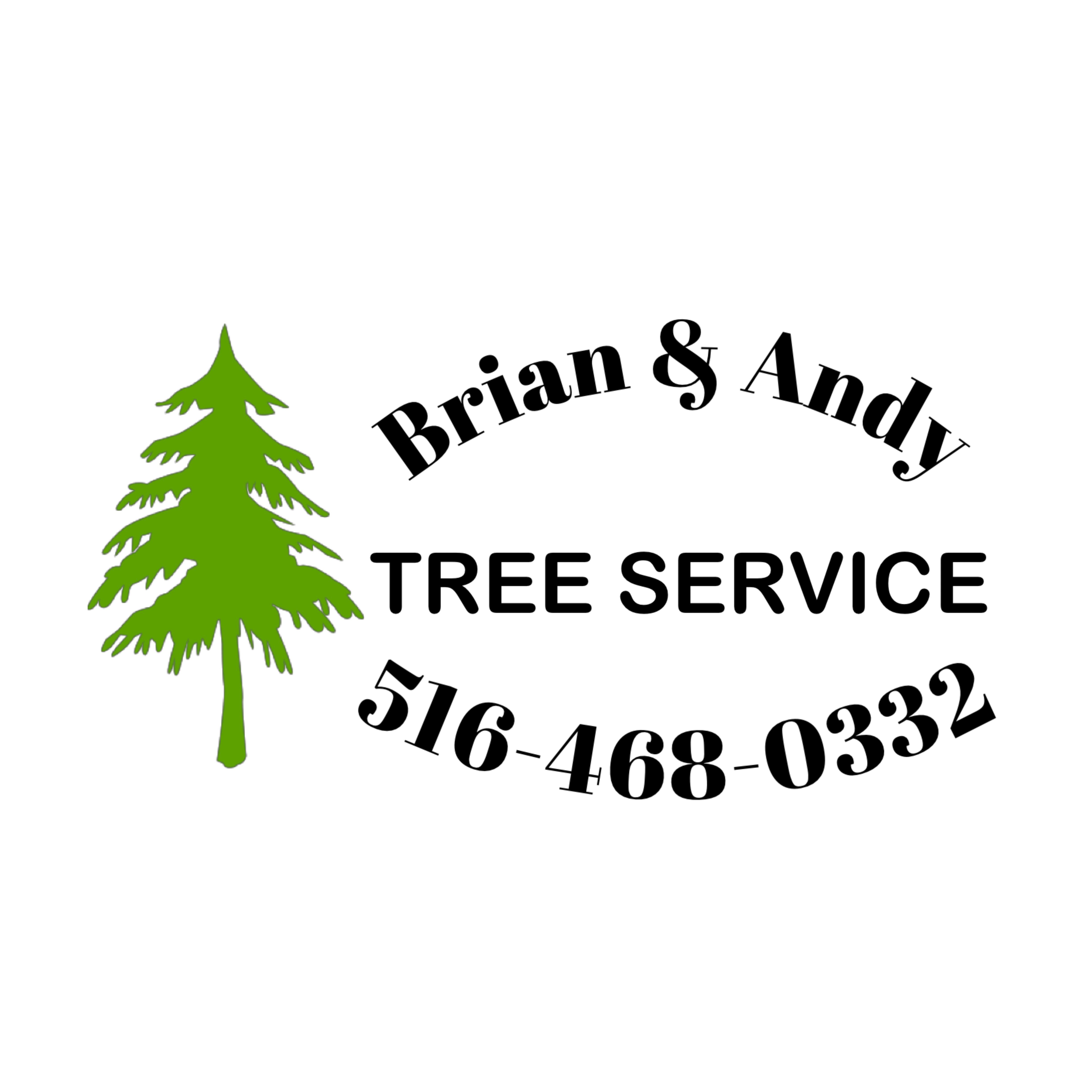 Avatar for Brian & Andy Tree Service
