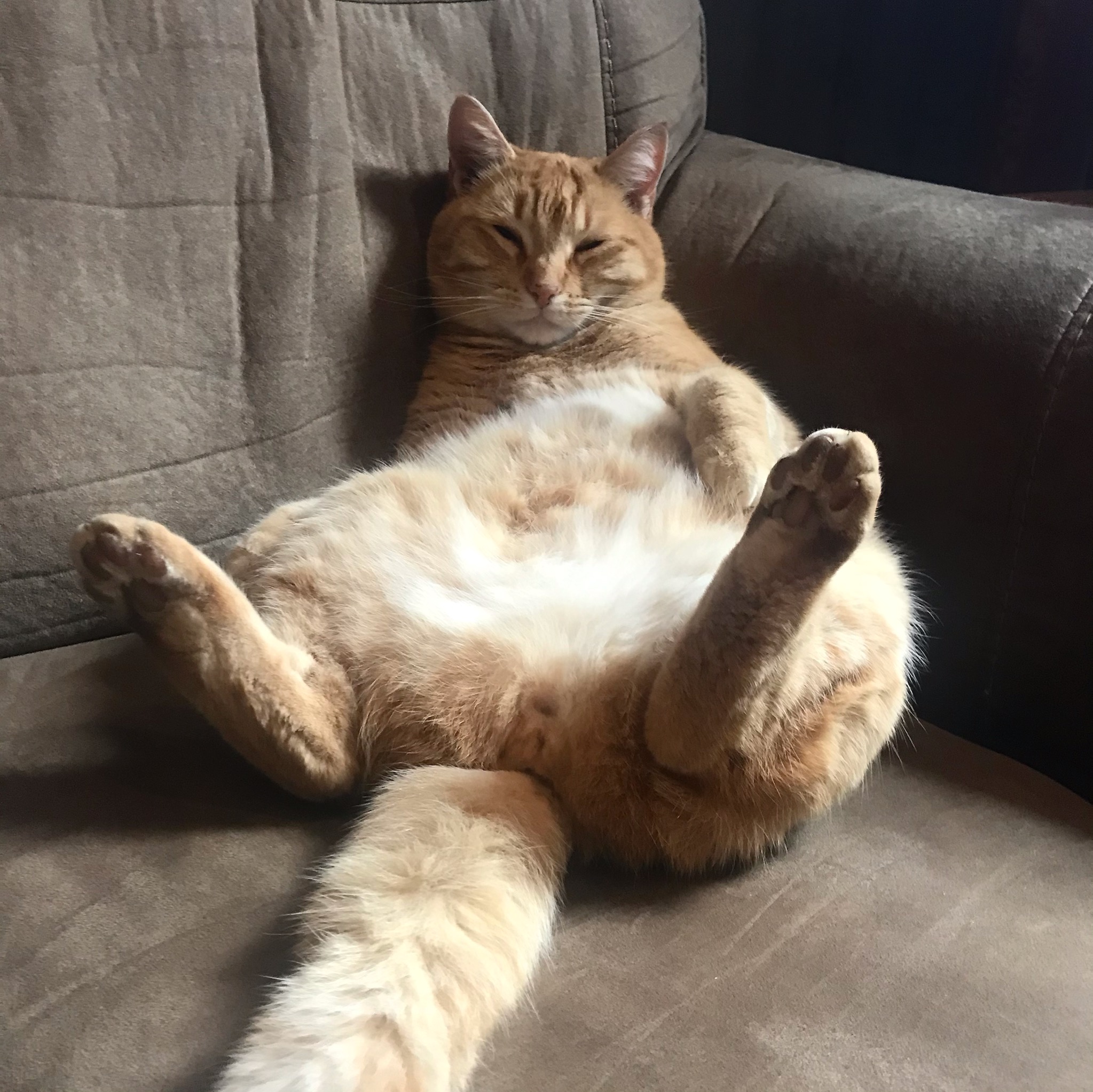 Avatar for Sleepy pressure washing