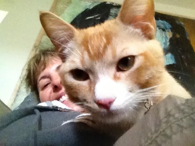 My kitty friend