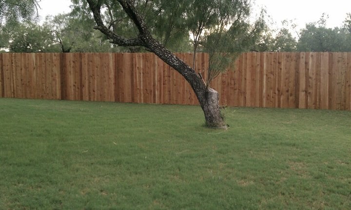 wood fence