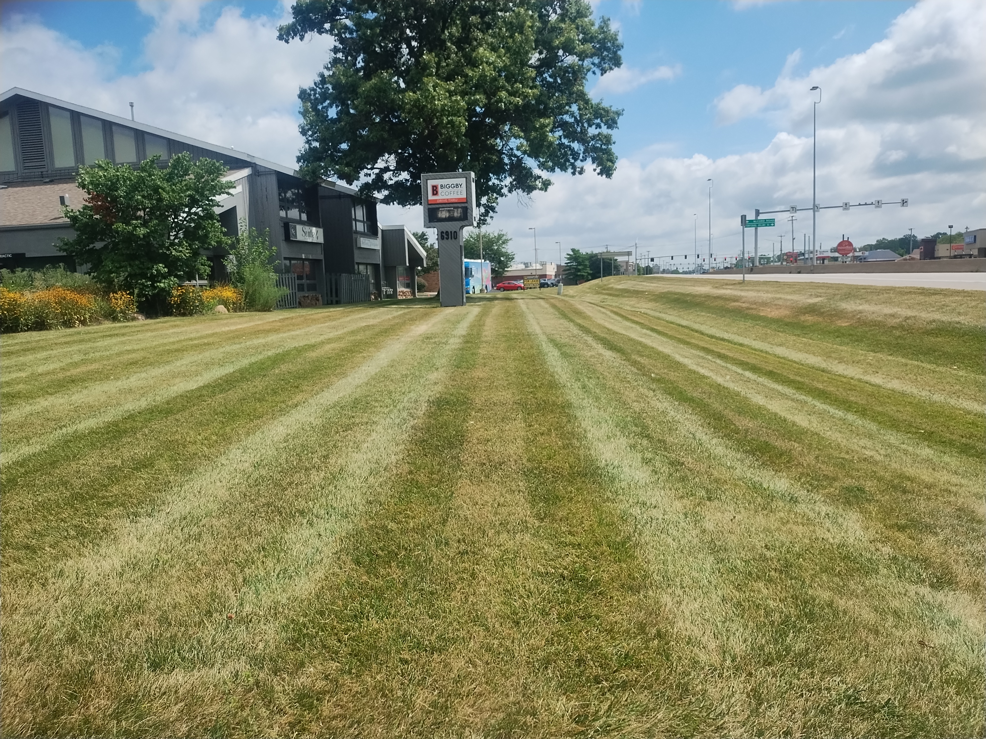 Avatar for Jason Lawn care 