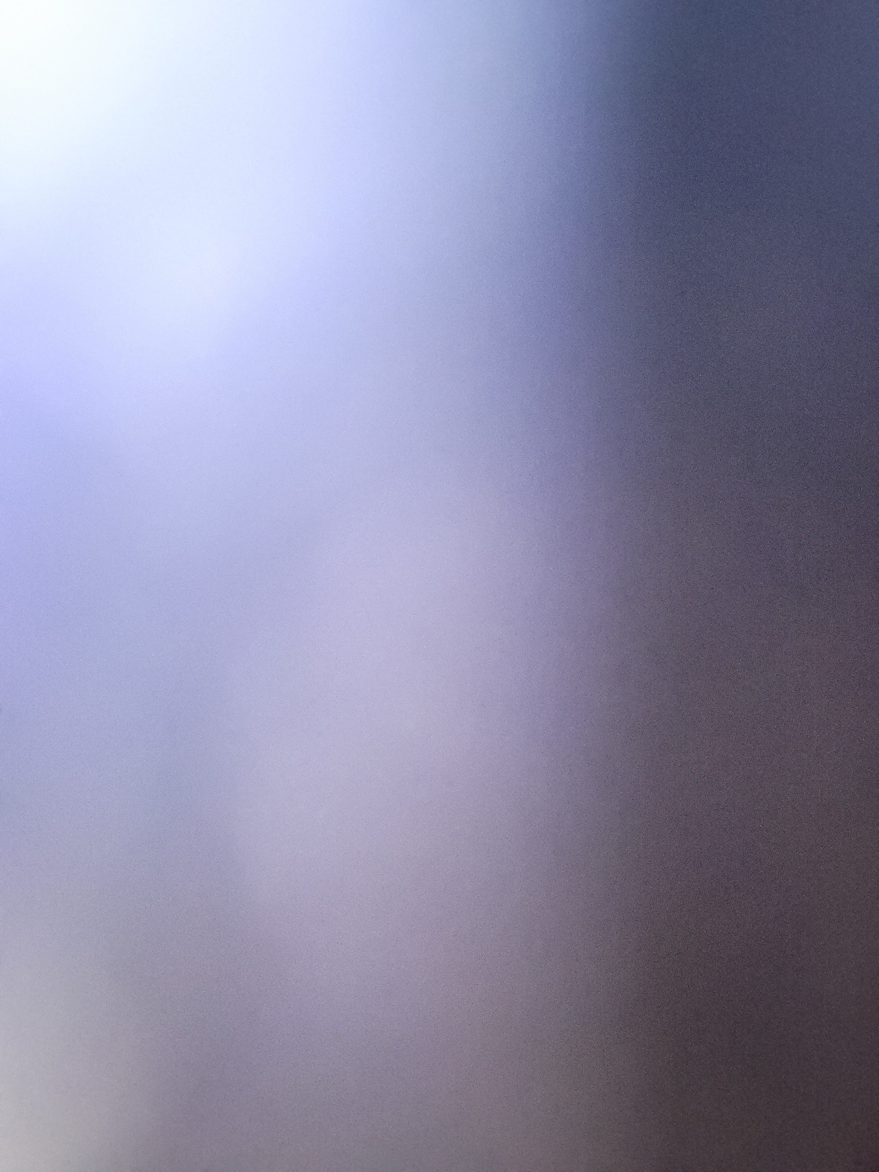 Avatar for Nicole Eliason