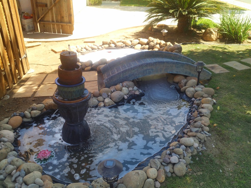 Fountain/ Pond