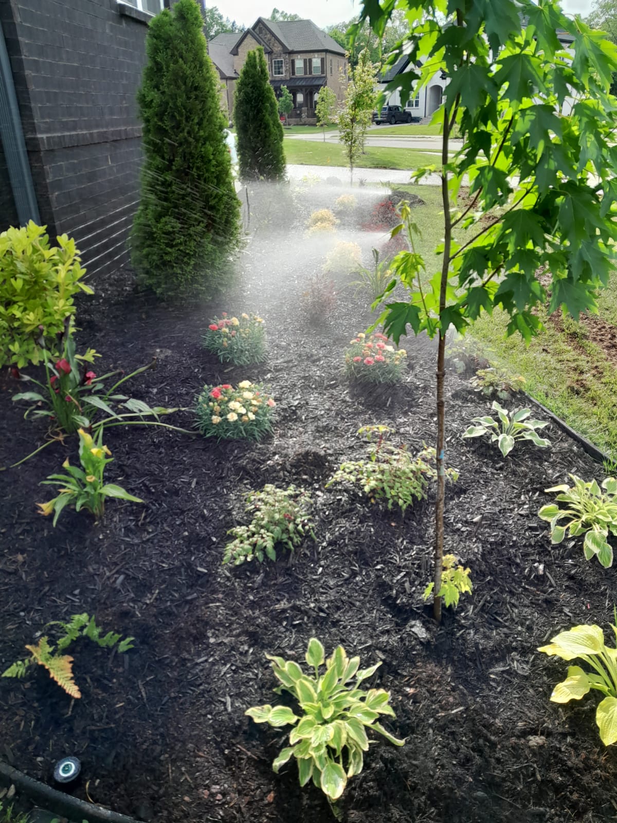 Avatar for American Irrigation