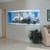 Saltwater Aquarium