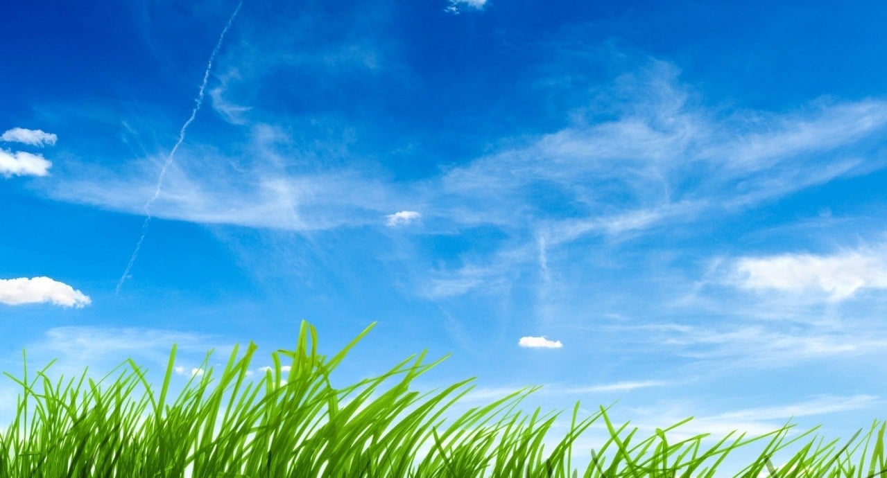 Avatar for Breezy Lawn Care