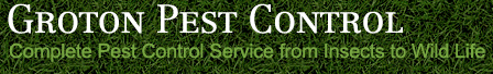 Logo for GROTON PEST CONTROL
