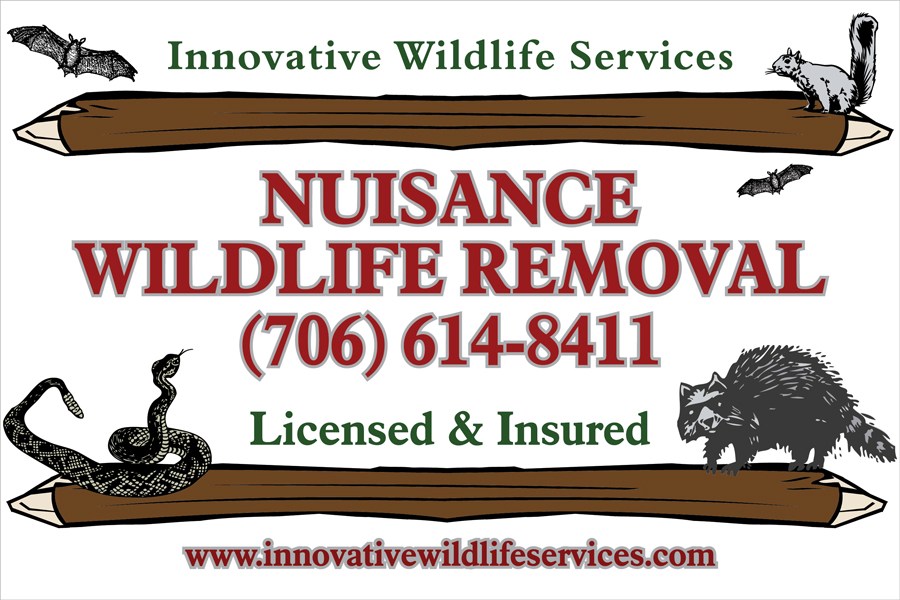 Avatar for Innovative Wildlife Services
