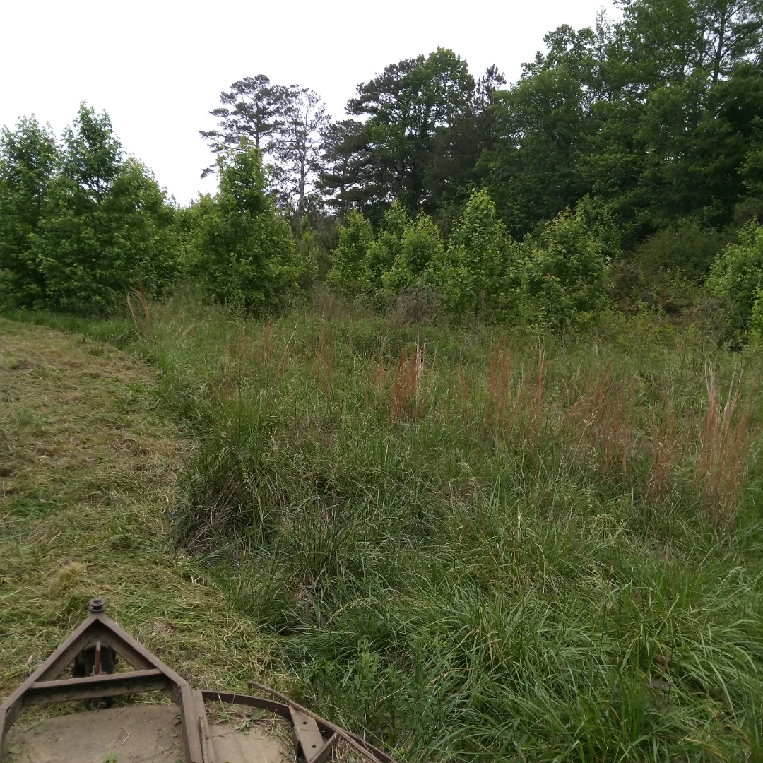 Avatar for TC Landservices 