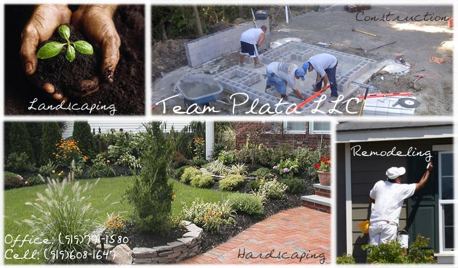 Team Plata LLC logo