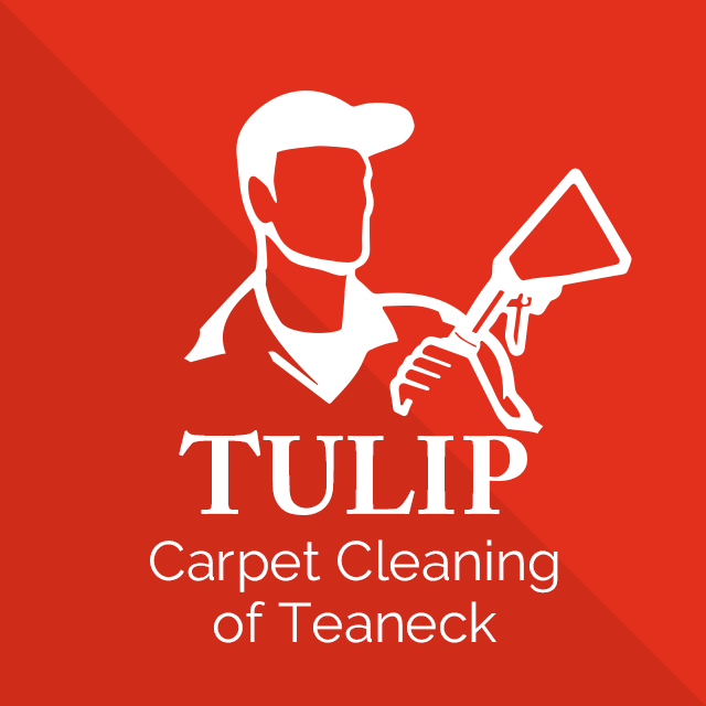 Carpet Cleaning Teaneck logo