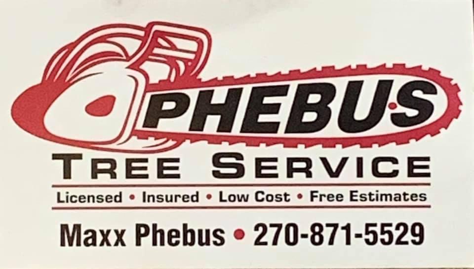 Avatar for Phebus tree service