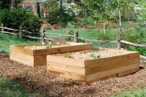 Raised Beds