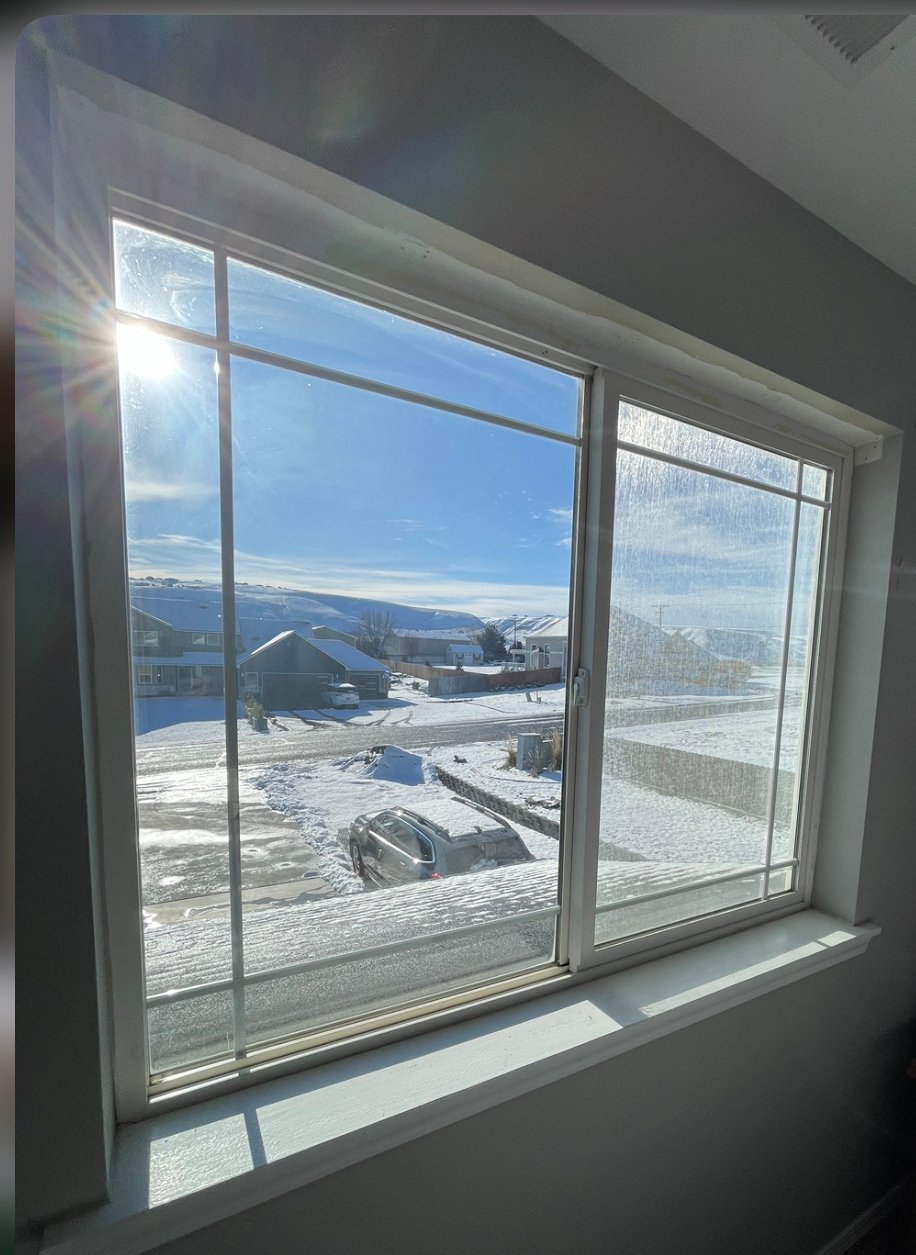 Avatar for The Window & Door Specialists Llc