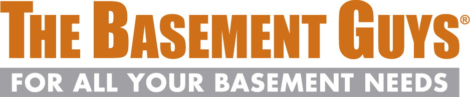 Logo for The Basement Guys